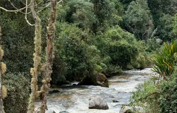 Genmas reconoce en el éxito del sector energético una oportunidad para que todas las empresas del gremio crezcan y se retroalimenten de sus experiencias. FOTO cORTESÍA