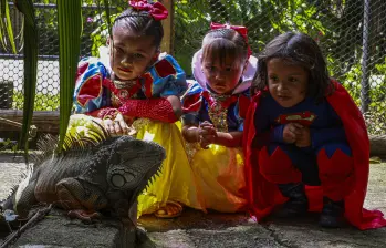 Imagen de referencia de niños disfrazados en un parque de Medellín. Foto: Manuel Saldarriaga Quintero. Imagen de referencia de niños disfrazados en un parque de Medellín. Foto: Manuel Saldarriaga Quintero.