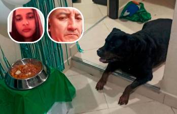 La veterinaria Daniela Montes Tapia (detalle, izquierda) y Luis Fernando Galvis Blanco (detalle, derecha) fueron procesados por la muerte del perro, llamado Aquiles (foto principal) dentro de una vivienda del barrio Popular, de Medellín. FOTOS: CORTESÍA La veterinaria Daniela Montes Tapia (detalle, izquierda) y Luis Fernando Galvis Blanco (detalle, derecha) fueron procesados por la muerte del perro, llamado Aquiles (foto principal) dentro de una vivienda del barrio Popular, de Medellín. FOTOS: CORTESÍA