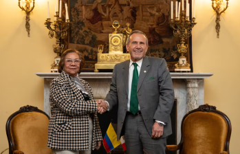 La canciller de Colombia, Rosa Villavicencio, y el ministro de Relaciones Exteriores de Perú, Elmer Schialer. Foto: Cancillería