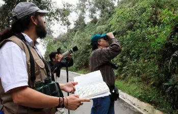 El sector de la Catedral es visitado frecuentemente por amantes de la naturaleza y el avistamiento de pájaros. IMAGEN DE REFERENCIA. ARCHIVO EL COLOMBIANO