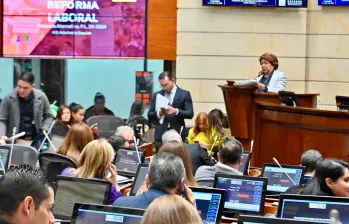 Plenaria del Senado retoma el debate FOTO CORTESÍA. 