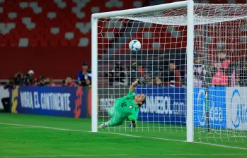 Karherine Tapia, de 32 años de edad, mostró seguridad en el arco tricolor y su equipo jugará nuevamente la final de la Copa América. FOTO X-SELECCIÓN COLOMBIA 