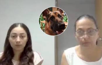 Teresita de Jesús Alcocer Puentes y su hija, Arlin Winneth Cuello Alcocer fueron condenadas por matar a un perro. FOTOS: FIscalía - tomada de redes sociales 