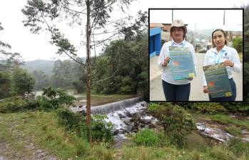 Uno de los nacimientos de agua que hay en la ciudad. Foto: Cortesía