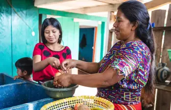 El estudio realizado por Unicef incluyó a cinco países de la región: Argentina, Chile, Colombia, México y Uruguay. FOTO: Unicef