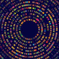 La nueva IA no solo detecta mutaciones genéticas causantes de enfermedad, sino que también las clasifica según su gravedad en todo el organismo. FOTO Agencia Sinc