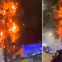 El incendio, además de acabar con el árbol, puso en riesgo varias casas. FOTO: Captura de video