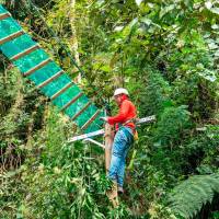 Los pasos seguros para la fauna silvestre, buscan evitar accidentes donde se ponga en riesgo la vida de los animales. FOTO: Cortesía Alcaldía de Medellín