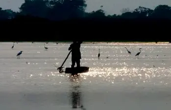 Los humedales, clave en la adaptación al cambio climático y la seguridad hídrica, son una de las prioridades locales que Colombia busca fortalecer en su nueva NDC. FOTO archivo EL COLOMBIANO