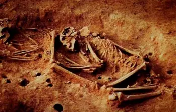 Restos óseos hallados en el Altiplano de Bogotá revelaron un linaje humano sin antecedentes conocidos, en uno de los descubrimientos genéticos más enigmáticos de Sudamérica. FOTO cortesía Universidad Nacional 