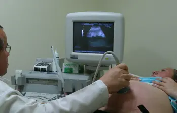 Investigadores colombianos confirmaron la presencia de microplásticos en la placenta humana, lo que evidencia la exposición prenatal a estos contaminantes. FOTO archivo Colprensa