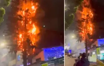 El incendio, además de acabar con el árbol, puso en riesgo varias casas. FOTO: Captura de video