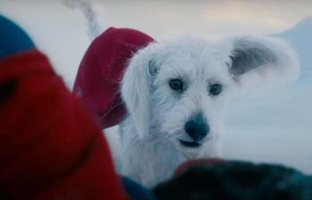 La figura de Krypto, el perro de Superman, inspiró un aumento masivo en la búsqueda y adopción de mascotas en Estados Unidos tras el estreno de la película dirigida por James Gunn. FOTO cortesía