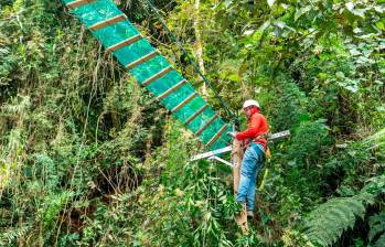 Los pasos seguros para la fauna silvestre, buscan evitar accidentes donde se ponga en riesgo la vida de los animales. FOTO: Cortesía Alcaldía de Medellín