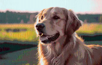 Ataxia en perros: una de las enfermedades más raras
