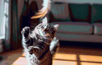 ¿Cómo aliviar el estrés en tu gato?