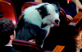 Messi, un perro de película que estuvo presente en los Premios Óscar 2024