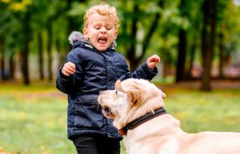 ¿Por qué a las personas no les gustan los perros? Tres razones psicológicas