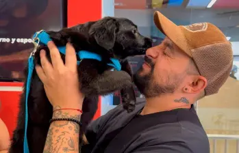 Más de 1.000 perros y gatos han sido adoptados en Medellín en 2025