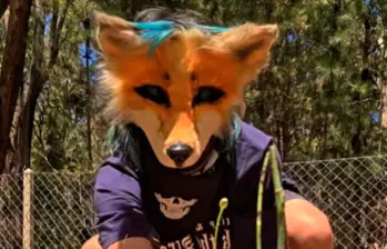 Video: así son los “Therian”, comunidad de jóvenes que se identifican como animales