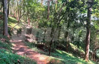 /FOTO: MAURICIO PALACIO