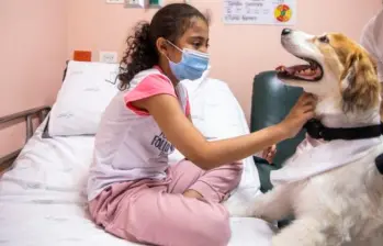 Mascotas les dan último adiós a sus humanos en hospital de Bogotá