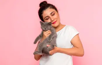 ¿Los gatos detectan la menstruación?
