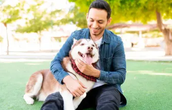 Cinco señales que dicen que tu perro te ama