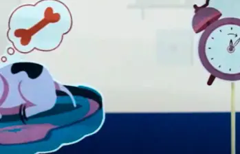 ¡Disfruta de Mi amiga pulga! Audiocuentos para niños, episodio 1