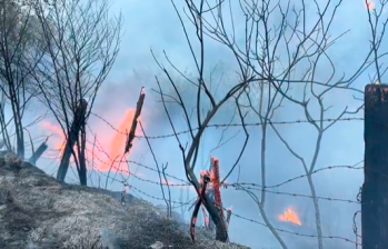 Las llamas comenzaron a propagarse en la noche de este lunes 18 de marzo. FOTO: Captura de video