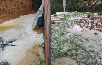 Así quedaron los cultivos después de la fuerte granizada en el municipio de Guarne. FOTO: Cortesía Alcaldía de Guarne Así quedaron los cultivos después de la fuerte granizada en el municipio de Guarne. FOTO: Cortesía Alcaldía de Guarne