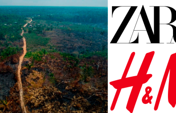 La oenegé británica Earthsight acusa a H&M y Zara de estar “vinculadas” a actividades de deforestación ilegal a gran escala, acaparamiento de tierras, corrupción y la violencia en las plantaciones de algodón de sus subcontratistas en Brasil. Foto Getty. 
