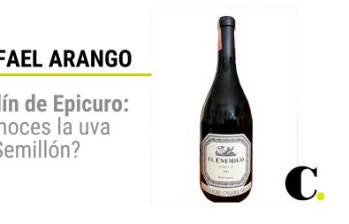 El jardín de Epicuro: ¿Conoces la uva Semillón?