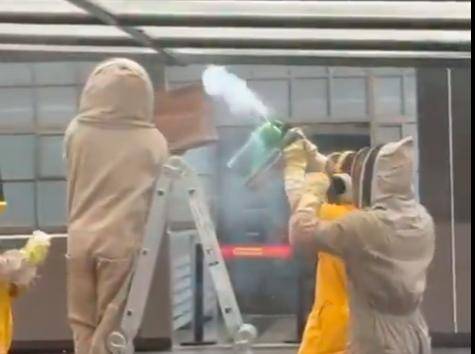 El incidente hizo necesaria la presencia de personal especializado que se encargó de trasladar el panal. FOTO: IMAGEN TOMADA DE VIDEO El incidente hizo necesaria la presencia de personal especializado que se encargó de trasladar el panal. FOTO: IMAGEN TOMADA DE VIDEO