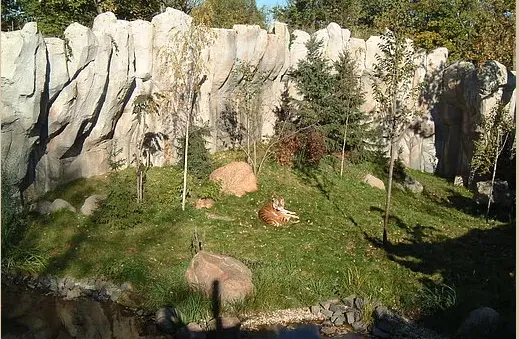 En 2003, se completó el hábitat <i>Tiger Taiga</i>, donde los visitantes pueden observar a los tigres a través de un panel de vidrio hasta el nivel del suelo. Imagen: Zoológico de Leipzig.