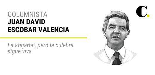 La atajaron, pero la culebra sigue viva La atajaron, pero la culebra sigue viva
