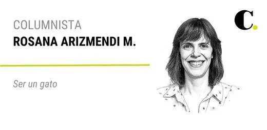 Ser un gato
