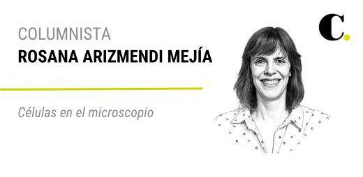 Células en el microscopio