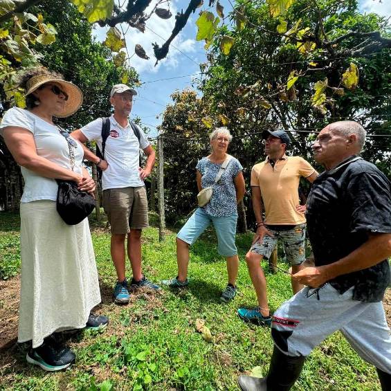 La finca en la que ensuciarse también hace parte del parche La finca en la que ensuciarse también hace parte del parche