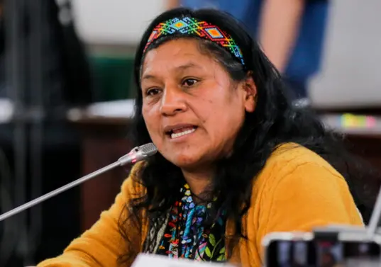 Quilcué relató que fue interceptada por hombres armados que se identificaron como disidencias y la llevaron a un páramo en el Cauca, donde permaneció retenida junto a su esquema de seguridad. FOTO: COLPRENSA