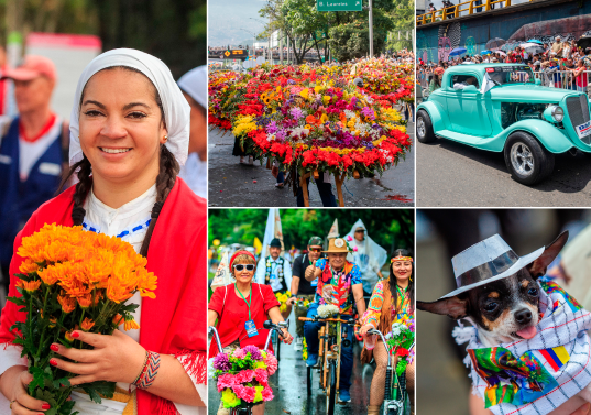 Los cultivos de orquídeas ya están preparados para esta feria. FOTO Camilo Suárez
