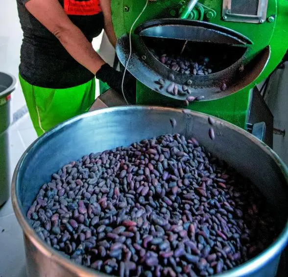 Parte del proceso de la elaboración de chocolate con cacao de San Carlos. FOTO: Julio Herrera.