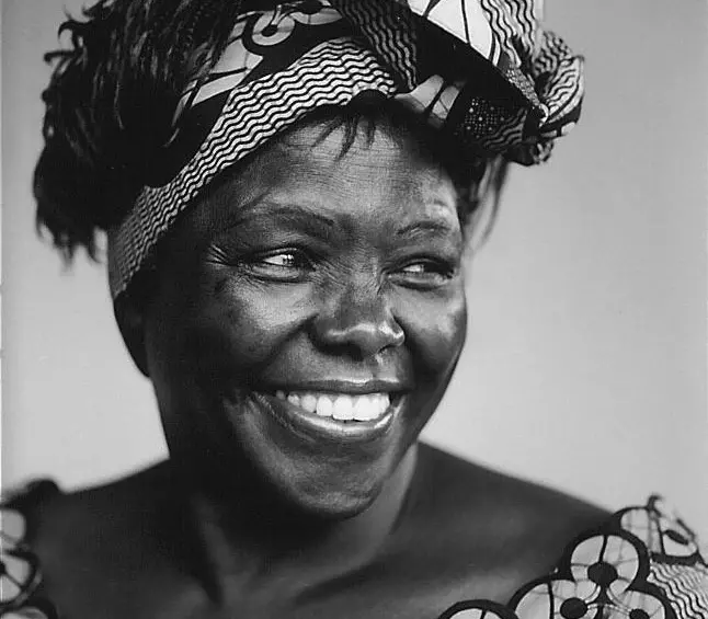 Wangari ha sido honrada varias veces desde su fallecimiento. FOTO: GREEN BELT.