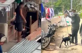 Hasta los niños participaron: cachorro era golpeado en Itagüí