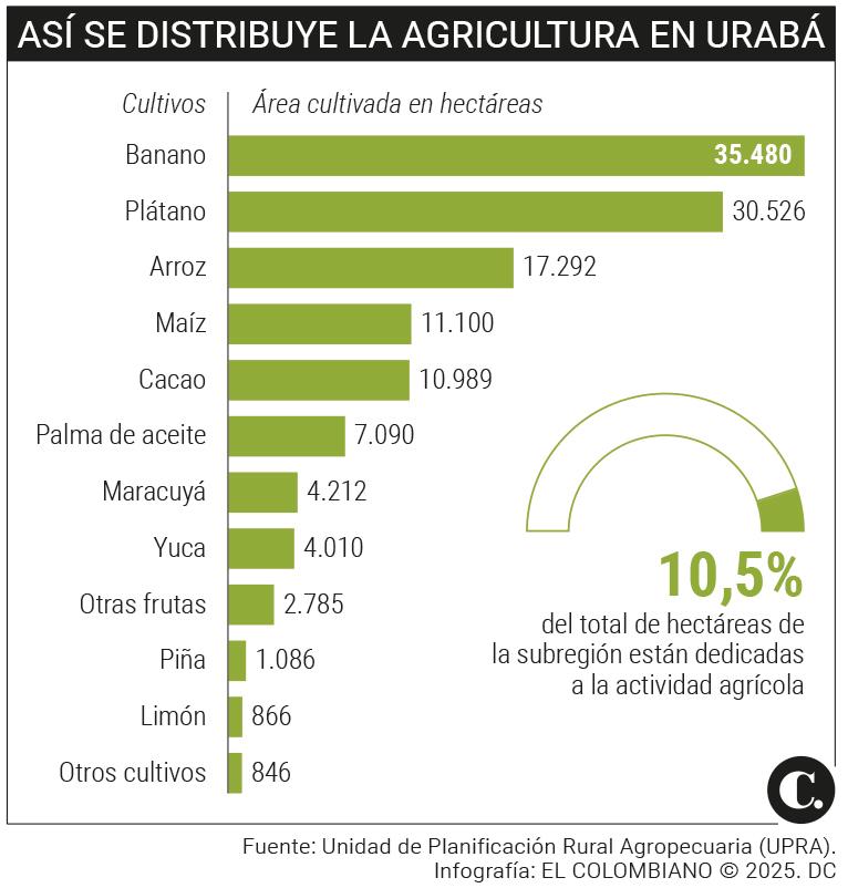 Infográfico Infográfico