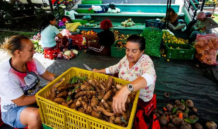 Los precios de alimentos como papa, tomate y cebolla registraron alzas en Medellín a finales de 2025, según el SIPSA del Dane. FOTO: JULIO CÉSAR HERRERA