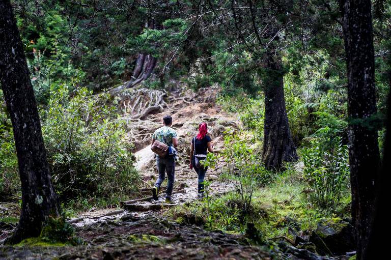 Parque Arví, zona de reserva ubicado en el oriente de Medellín. FOTO: Julio César Herrera