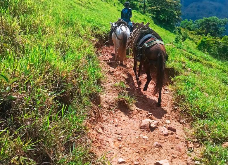 Habitantes de El Aro, en Ituango, hacen vaca y bingos para impulsar, por fin, la construcción de la vía que los conecte con el mundo