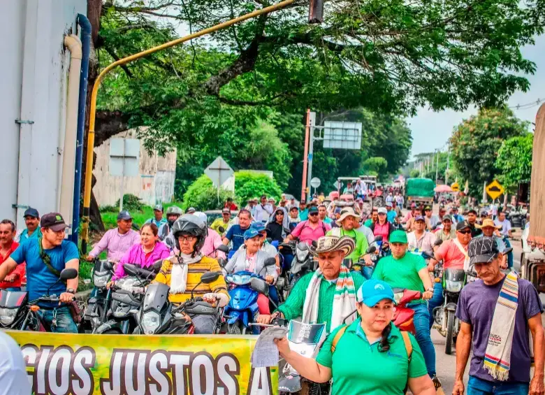 FOTO CORTESÍA. 